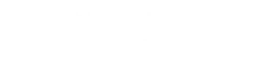 Logo_Nurnberger-weis-pnoocv256u0q3gc0wdkyvh5q0xa7q1u26qns1ykc1s